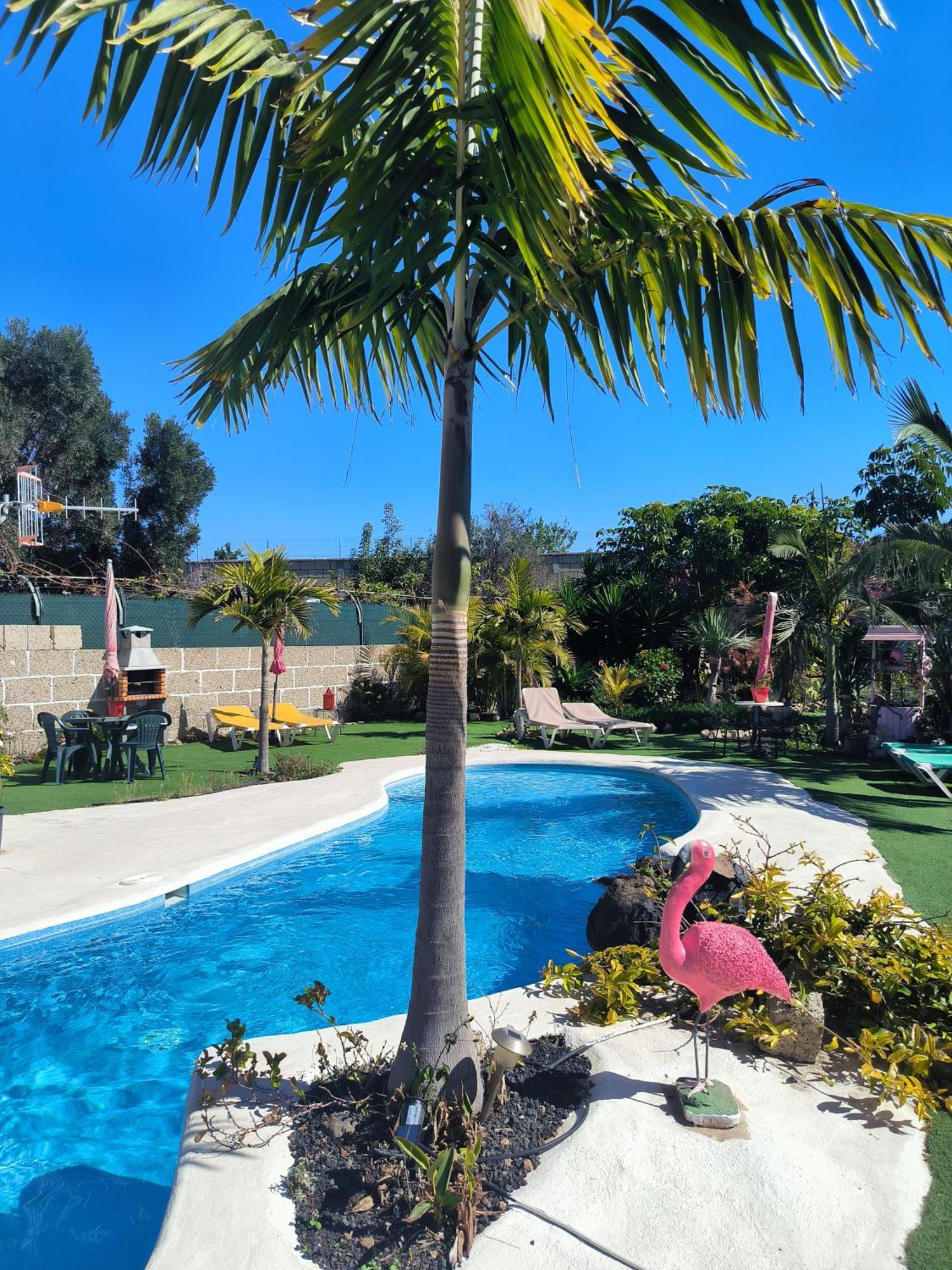 גרנדילה דה אבונה Villa Daita 2 Villa Daita 3 מראה חיצוני תמונה