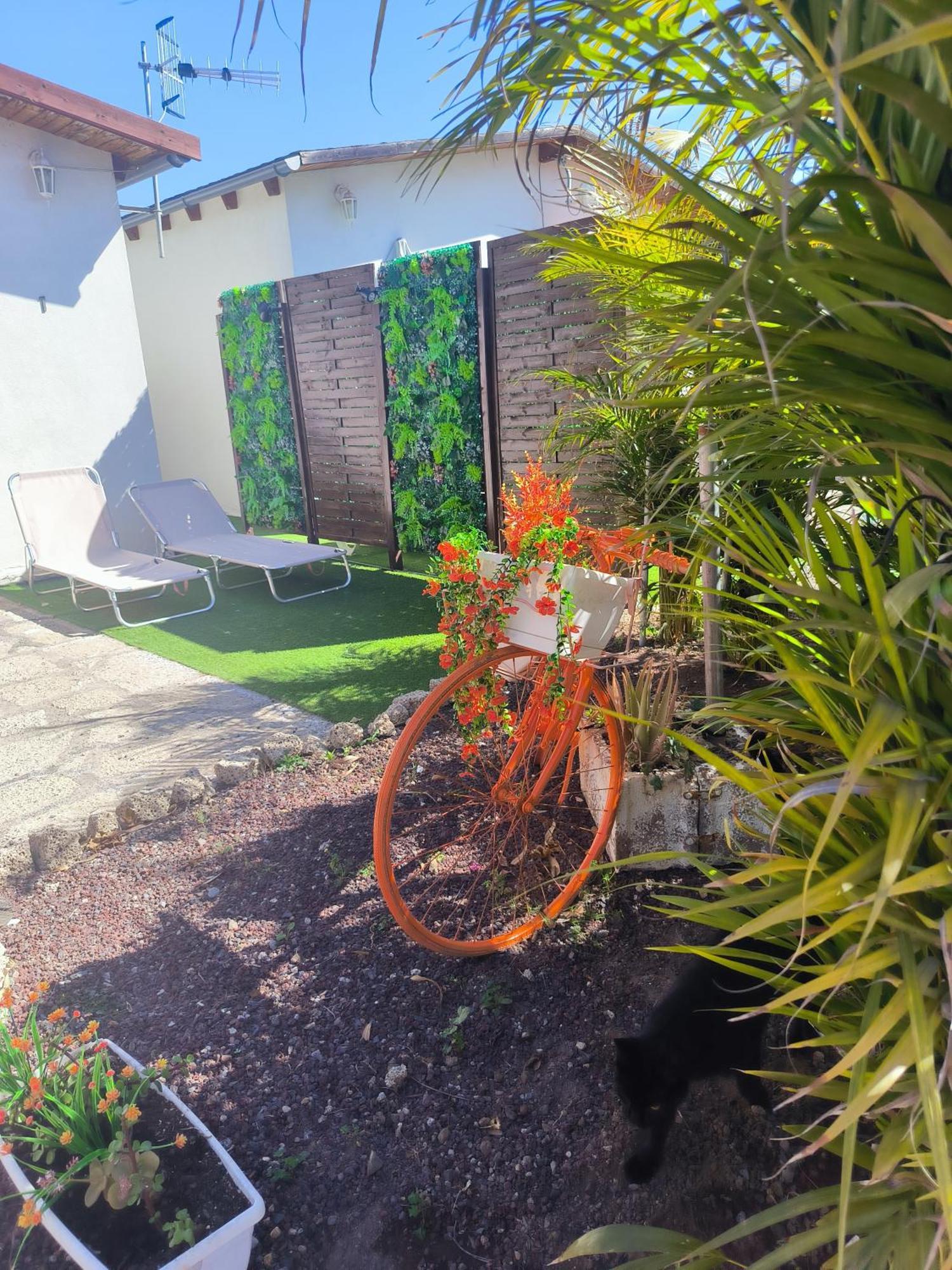 גרנדילה דה אבונה Villa Daita 2 Villa Daita 3 מראה חיצוני תמונה
